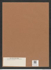 Diatomeae indet. Zeichnungen Sammlung Grunow Mappe 05465 (Herbarium_W_Grunow_drawings_Folder_05465)